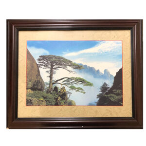 ⁦A-2803⁩ - الصورة ⁦1⁩