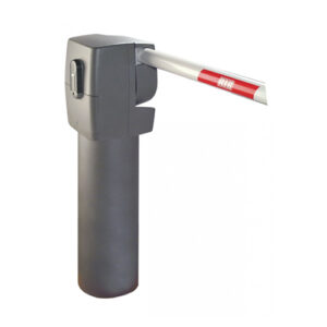 ⁦President-91⁩ - الصورة ⁦1⁩