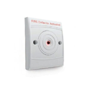 ⁦RI/W/3V⁩ - الصورة ⁦1⁩